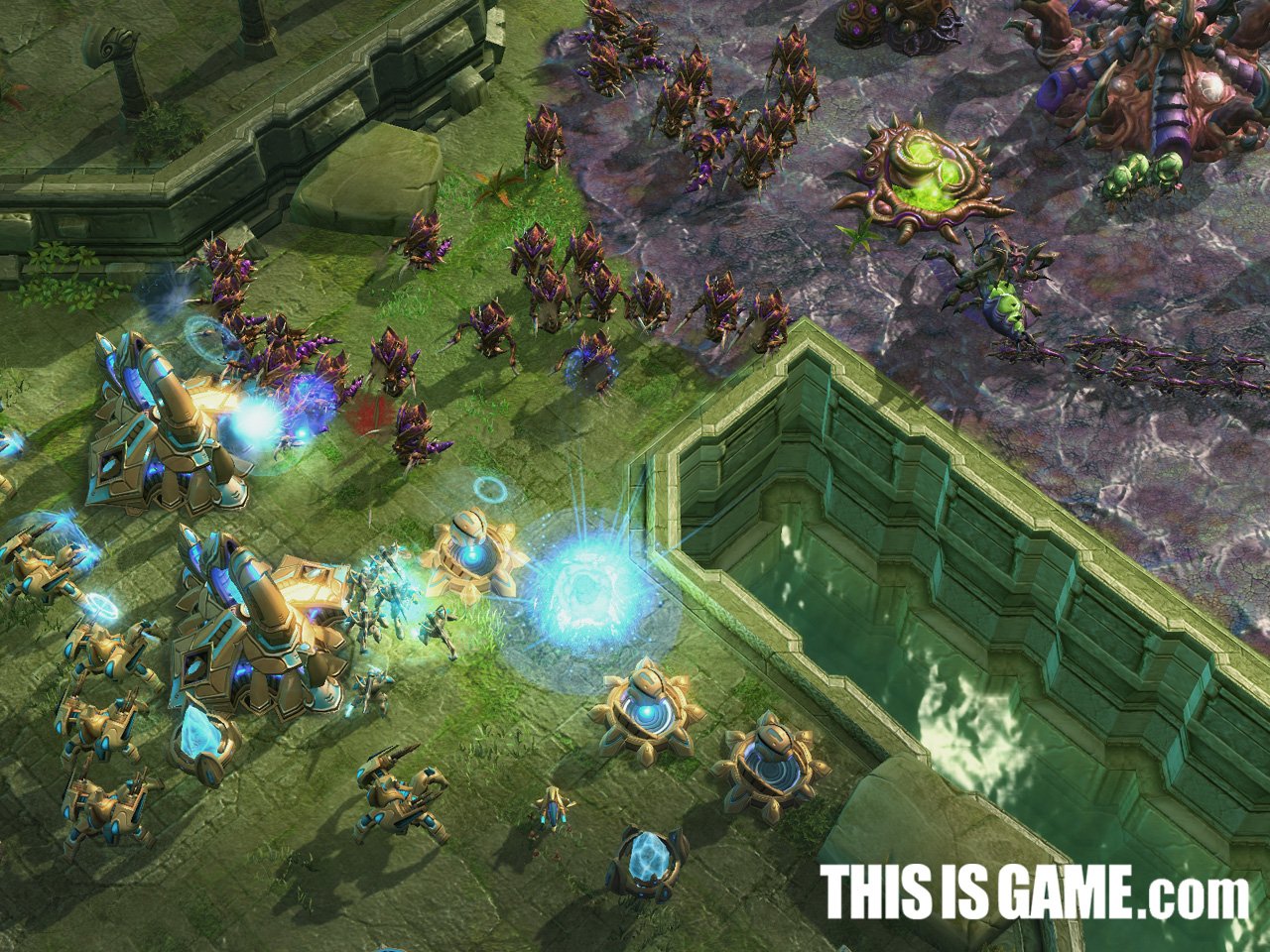 空洞骑士 年度版 截图19