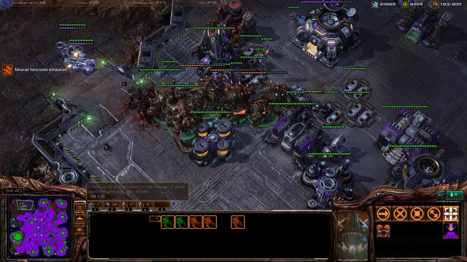 空洞骑士 年度版 截图23