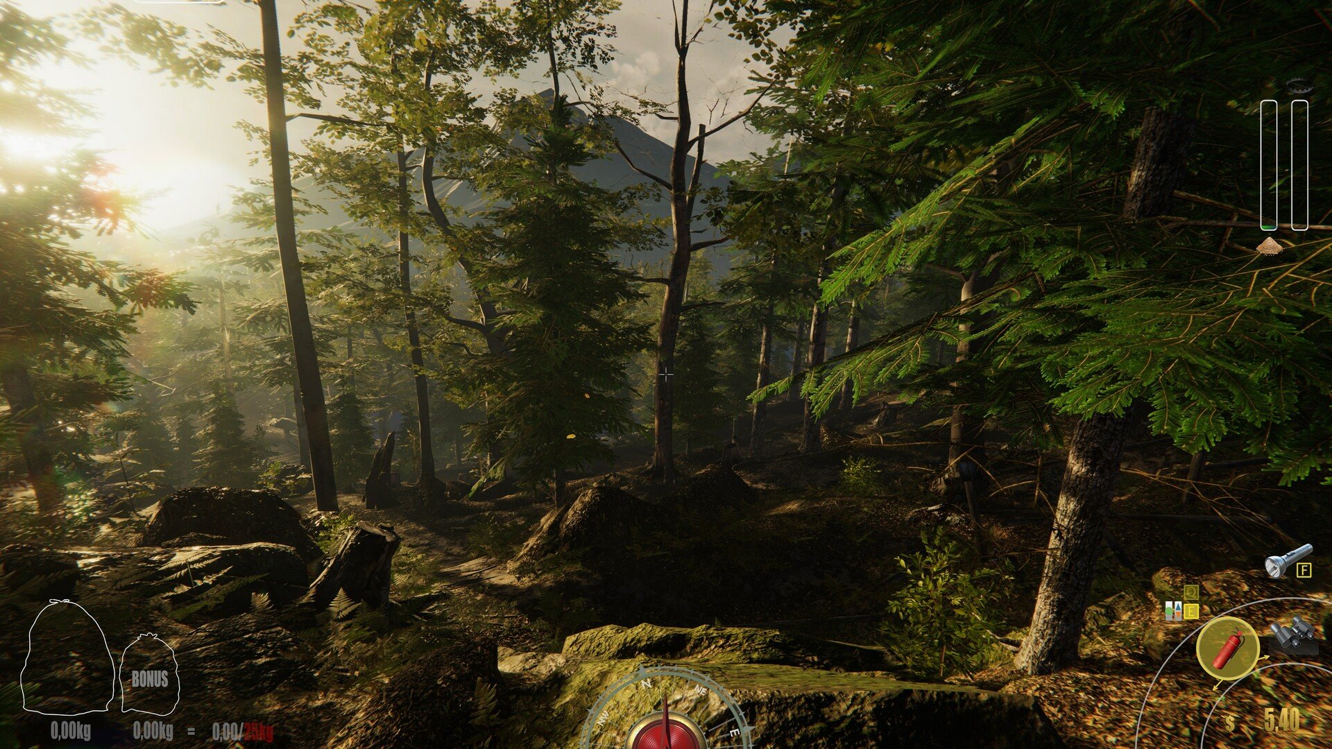 艾尔登法环 终极版 截图21